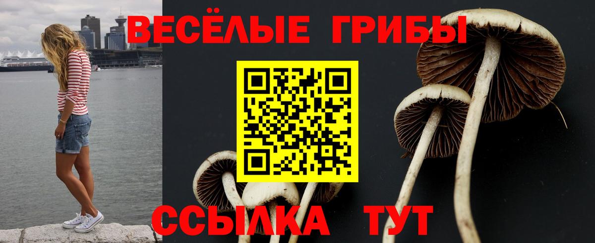 Родники  Галлюциногенные грибы Psilocybine cubensis  дарнет шоп  Вход с VPN  Псилоцибиновые грибы ЛСД 